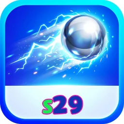 s29